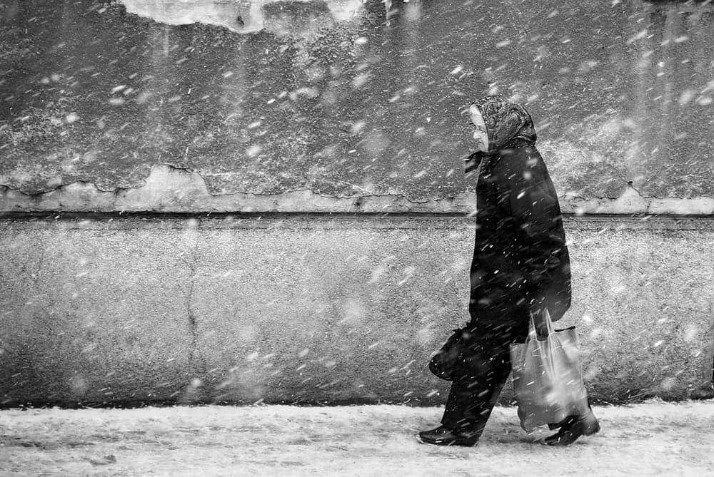 winter passengers by Nicoleta Gabor — canvas wall art