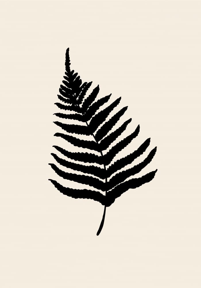 Minimal Fern Silhouette by Pictufy Studio — canvas wall art