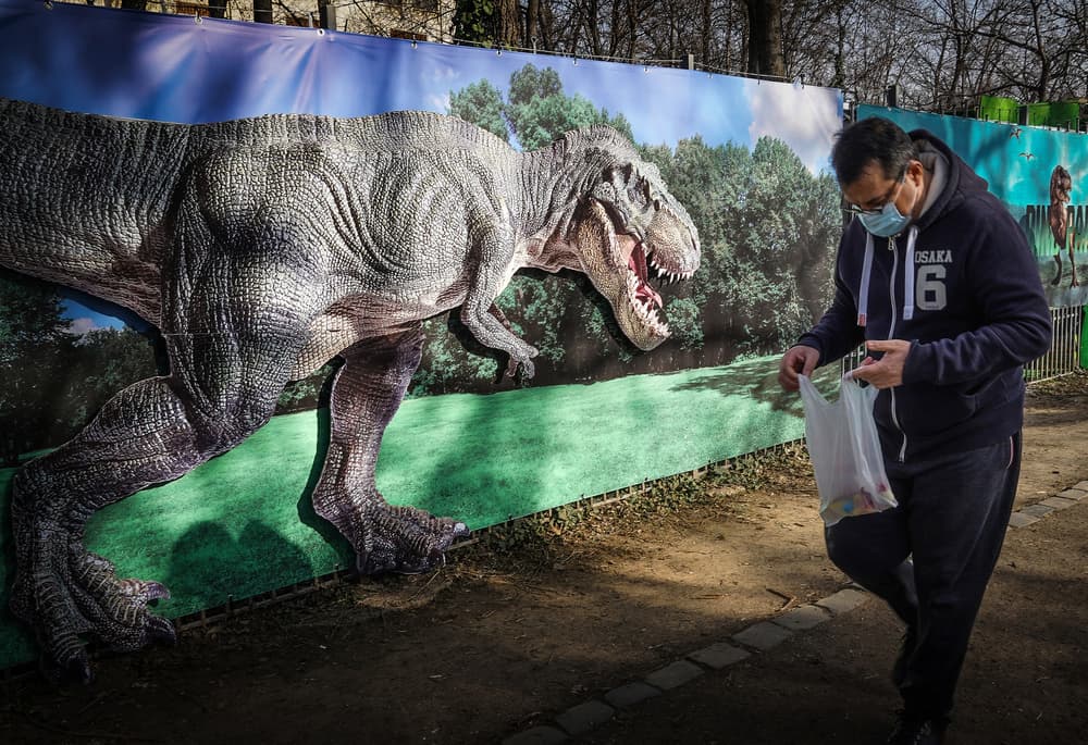 Lunch Time! by Mirela Momanu — canvas wall art