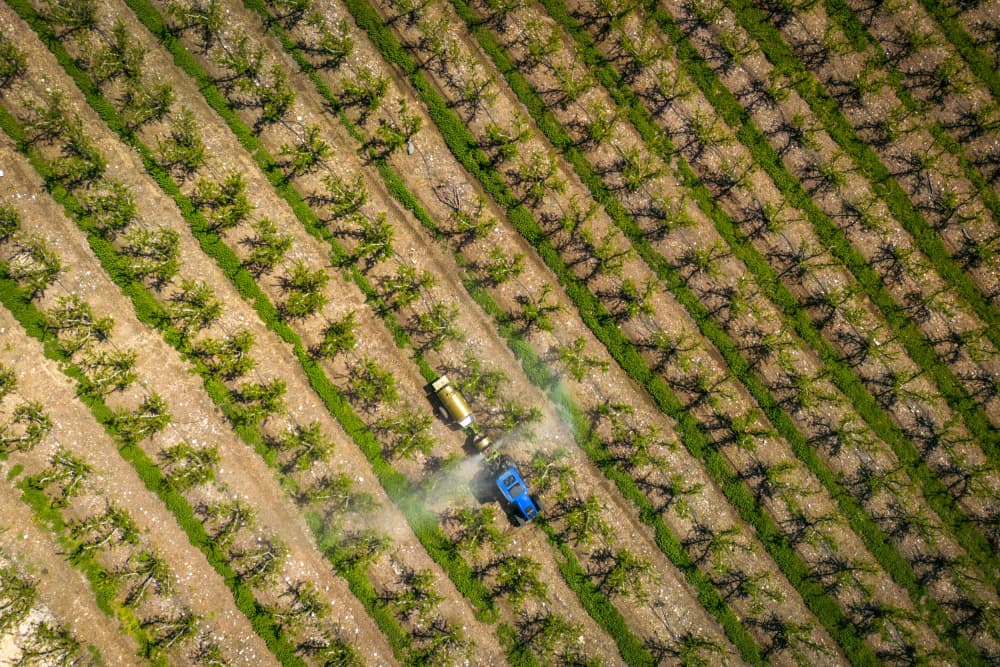Aerial Orchard Spraying by Shmulik Weiss — canvas wall art