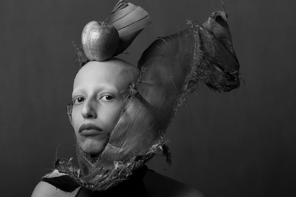 Surreal Apple Portrait by Hamed Khosroshahi — canvas wall art