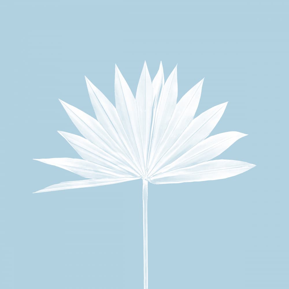 Tropical Blue 2 by Kathrin Pienaar — canvas wall art