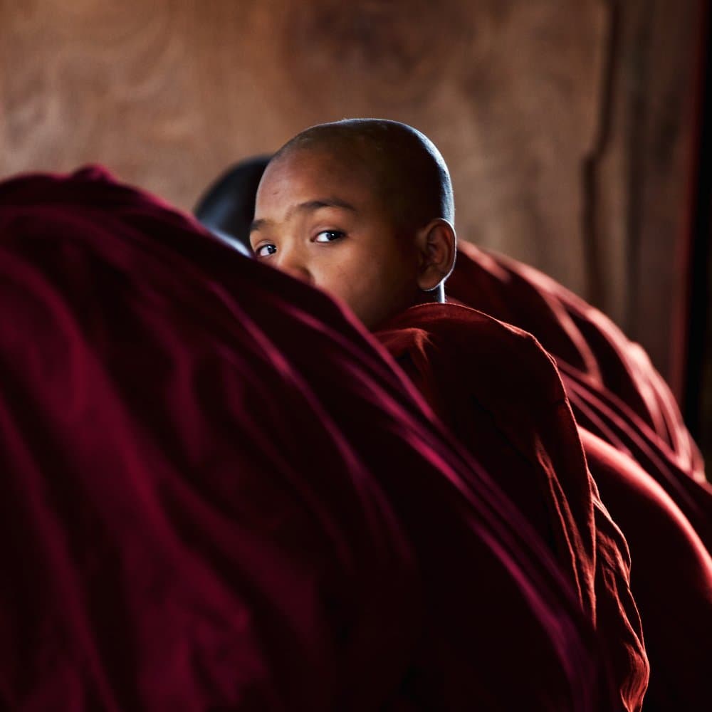 Curious Young Monk by txules — canvas wall art