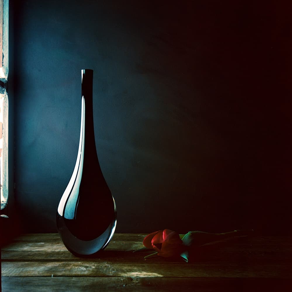 Sleek Vase Red Rose by Luiz Laercio — canvas wall art