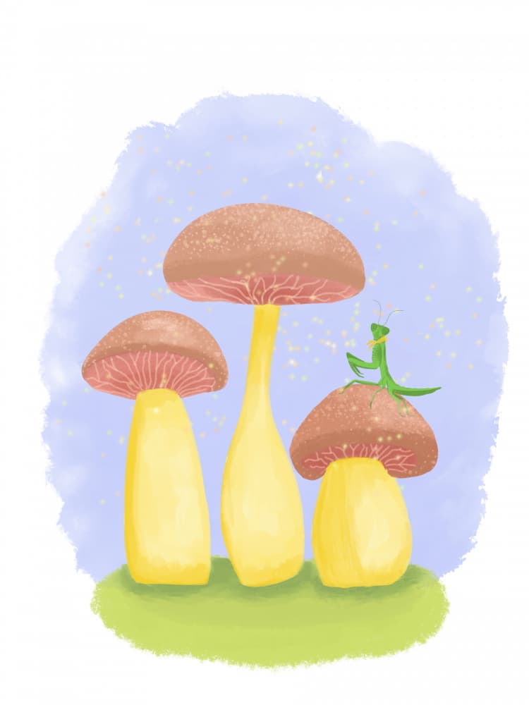 Mantis Mushroom Whimsy by Aliya Putrus — canvas wall art