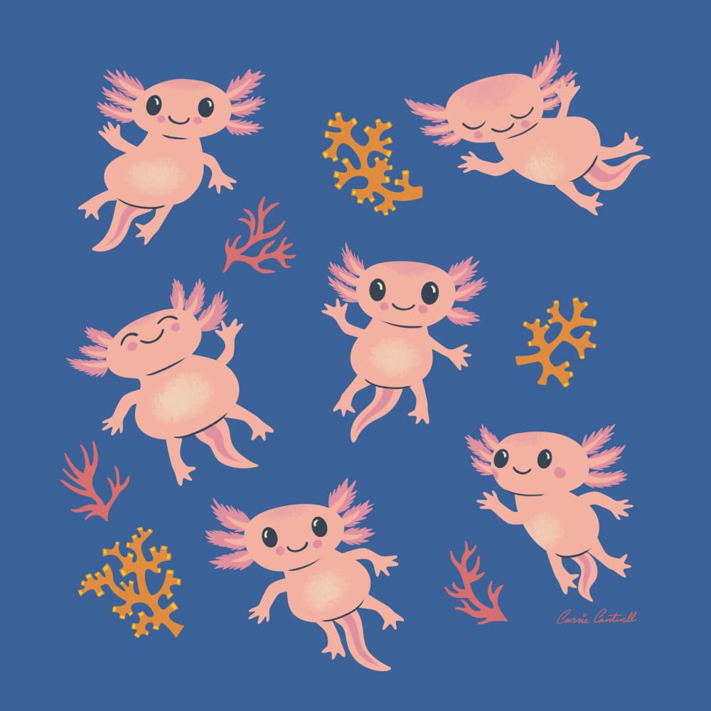 Cute Pink Axolotls by Carrie Cantwell — canvas wall art