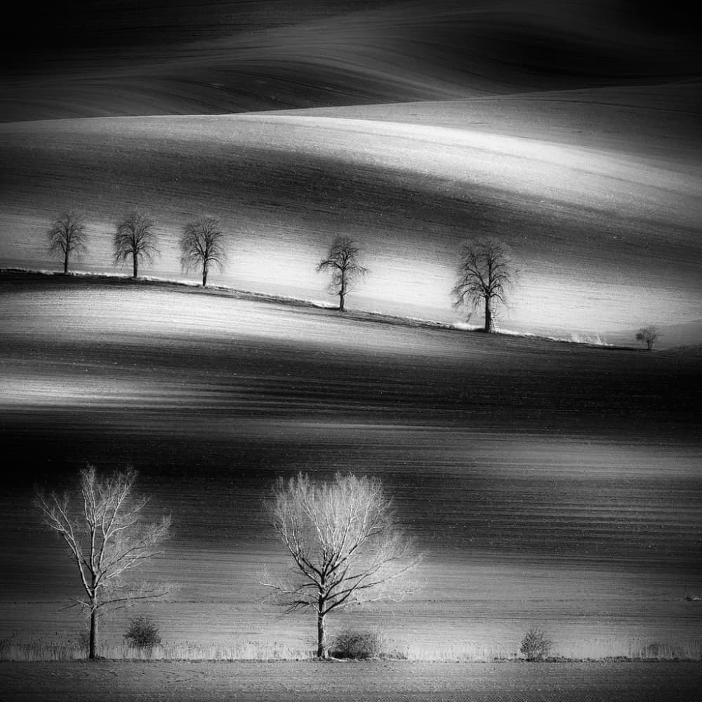 Rolling Hills And Trees by Piotr Krol (Bax) — canvas wall art