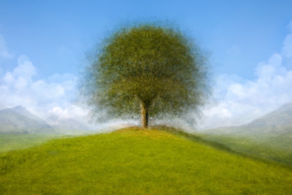 Peaceful Hilltop Tree by Fiorenzo Carozzi — canvas wall art