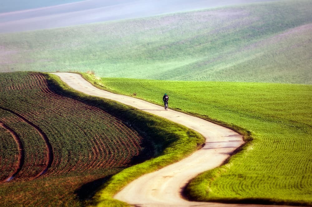 Winding Country Road by Piotr Krol (Bax) — canvas wall art