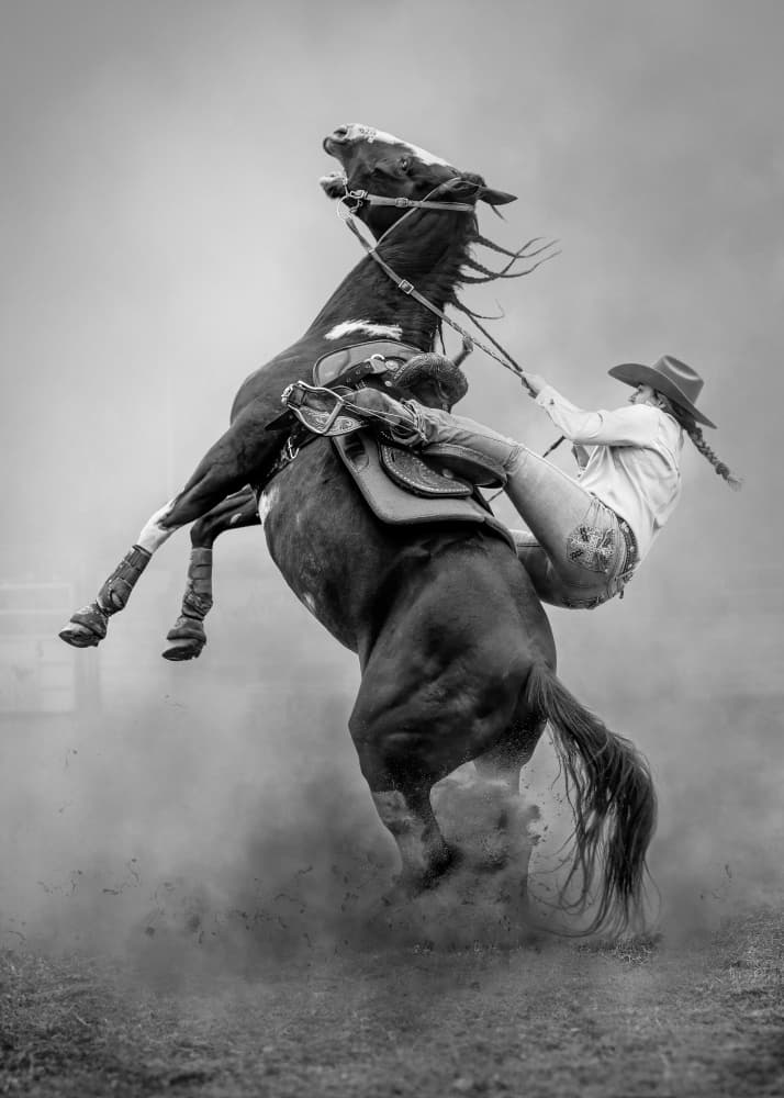 Cowgirl Bucking Horse by Frank Ma — canvas wall art