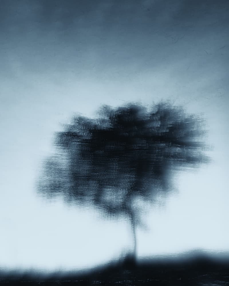 Moody Blurred Tree by Jassi Oberai — canvas wall art