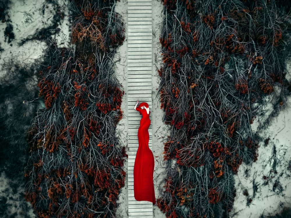 Solitary Red Dress Path by Ruslan Bolgov — canvas wall art