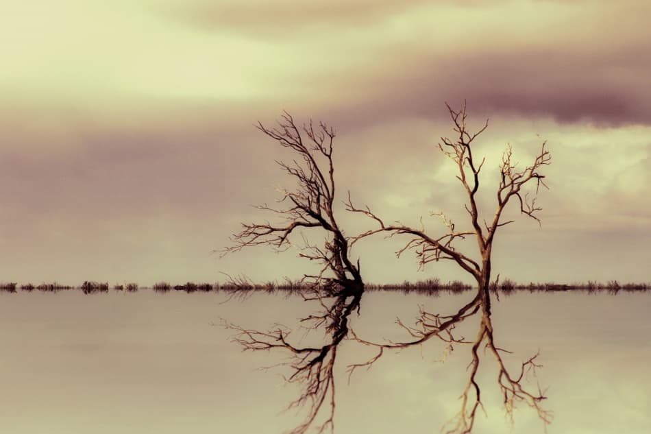 Still Water Reflections by Mel Brackstone — canvas wall art