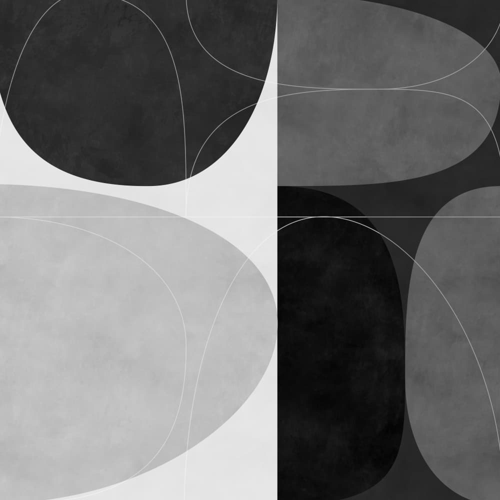 Shapesbw2 Kopie by Ana Rut Bre — canvas wall art