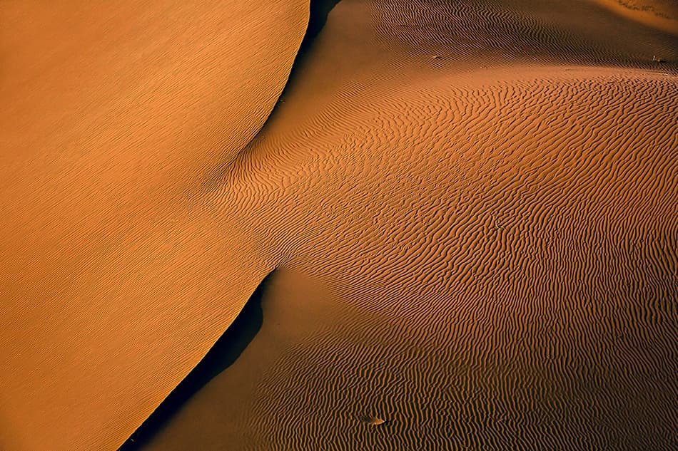 Connection by Mohammadreza Momeni — canvas wall art
