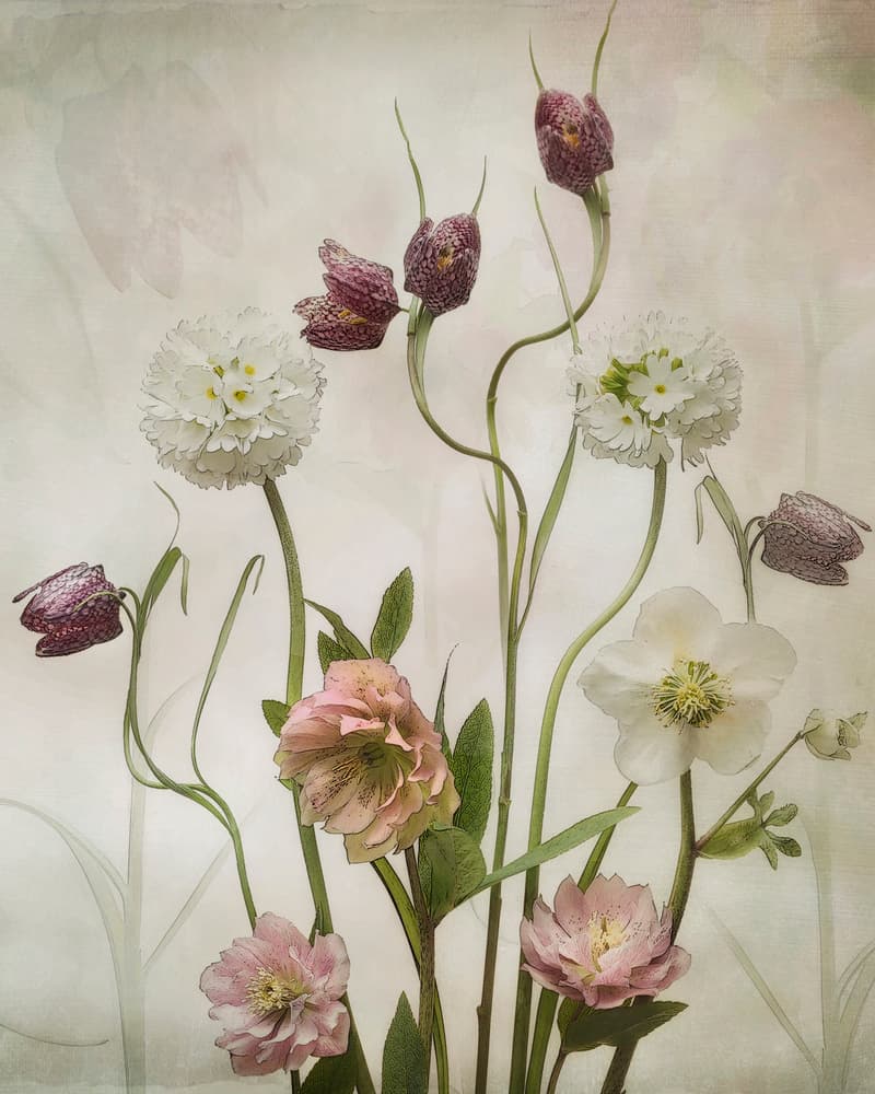 Soft Spring Flowers by Sharon Williams — canvas wall art