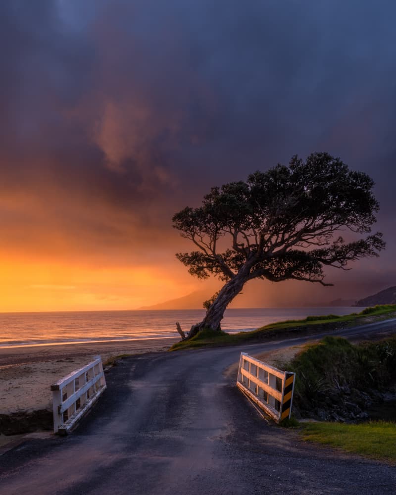 Coastal Road Sunset by Jarred Wilson — canvas wall art