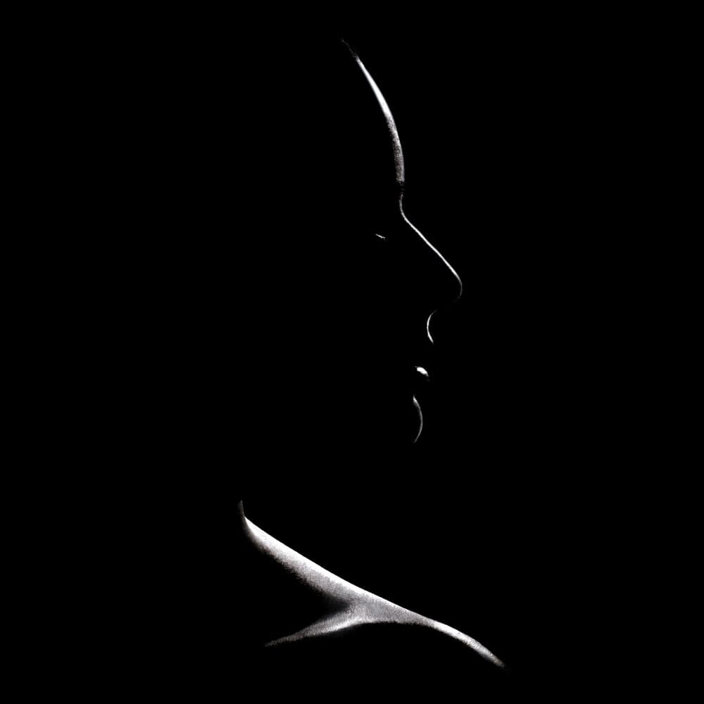 Elegant Silhouette Portrait by Sergey Kokinskiy — canvas wall art