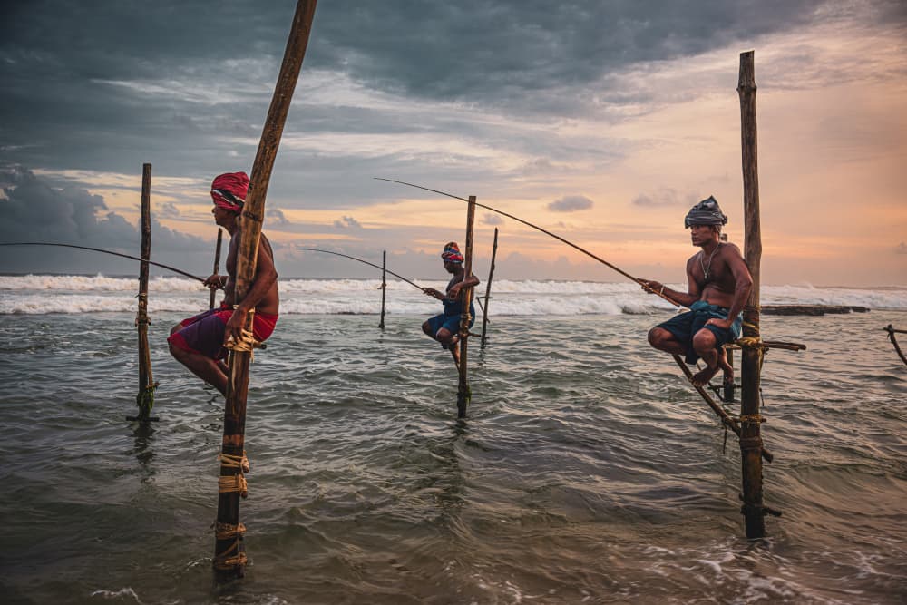 Stilt Fishermen Sunset by Marco Tagliarino — canvas wall art