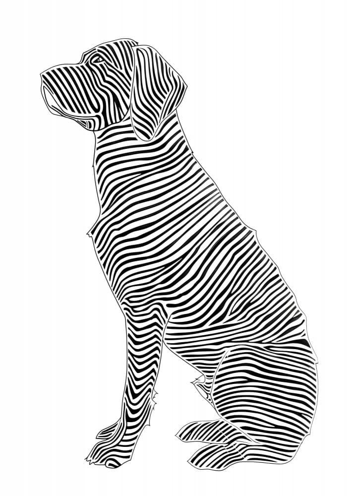 Zebra Striped Dog by Justyna Jaszke — canvas wall art