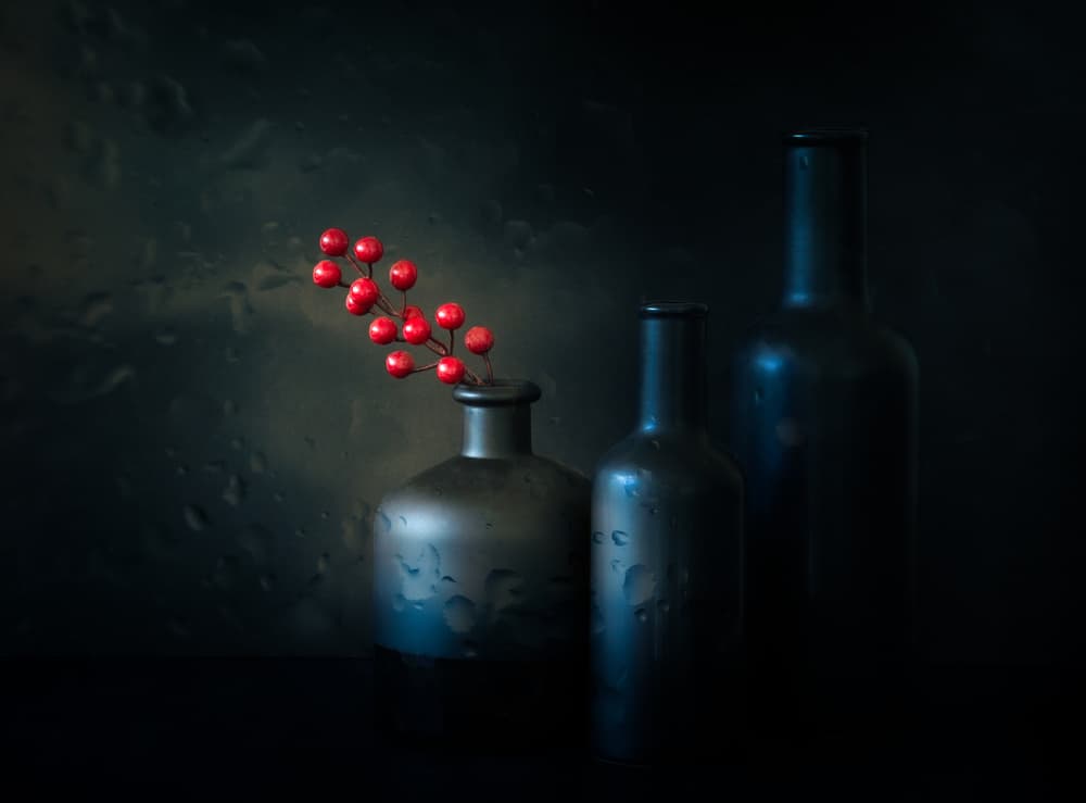 Moody Red Berries Still Life by Jacqueline Hammer — canvas wall art