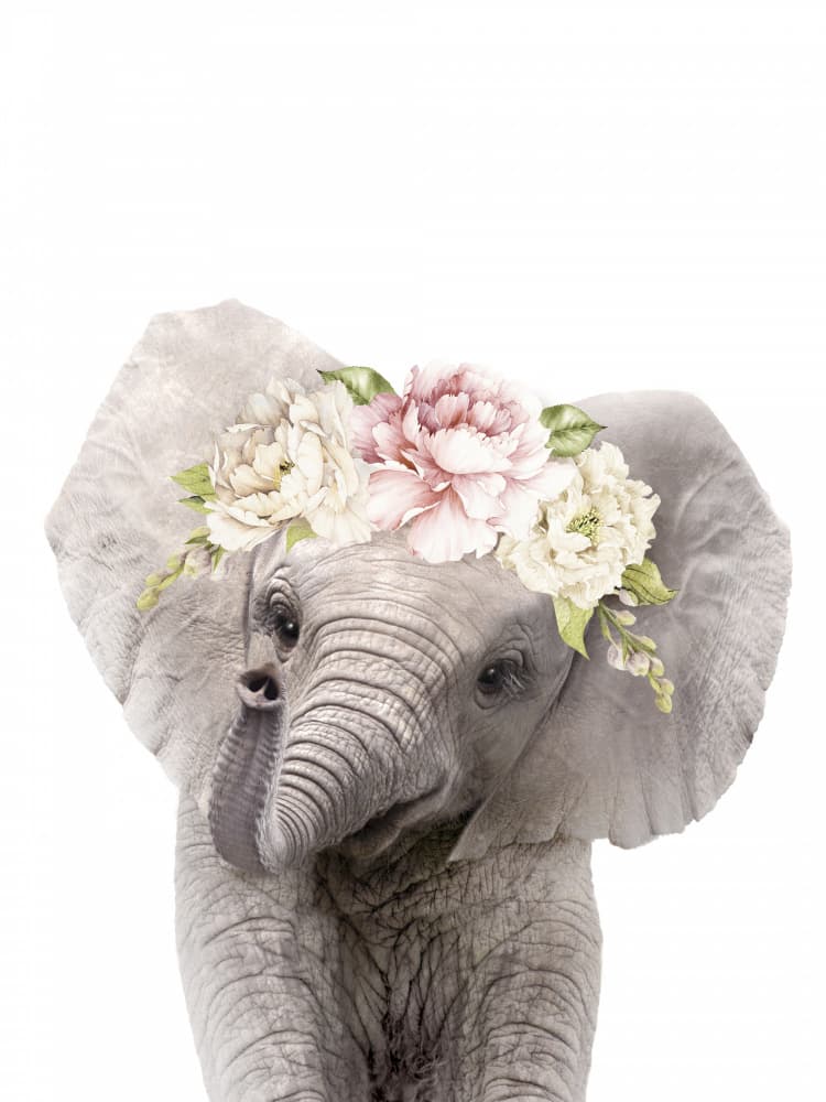 Baby Elephant Floral Crown by Lila & Lola — canvas wall art