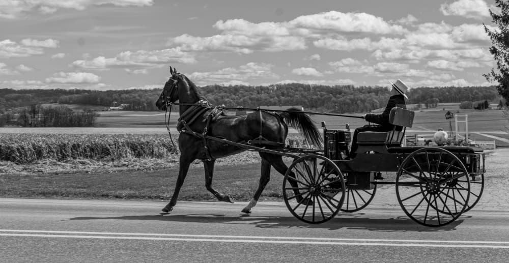 Country Road Horse Buggy by Hal Li — canvas wall art
