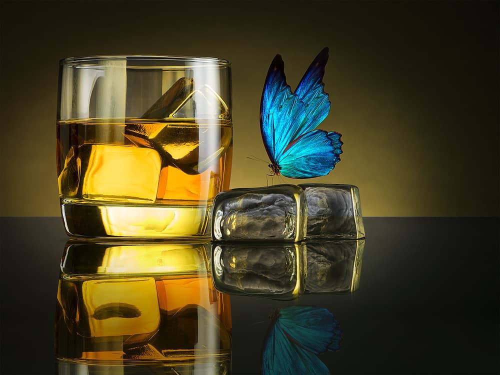 Elegant Whiskey Butterfly by Jackson Carvalho — canvas wall art