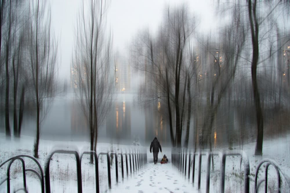 Dreamy Winter Path by Alexander Kiyashko — canvas wall art