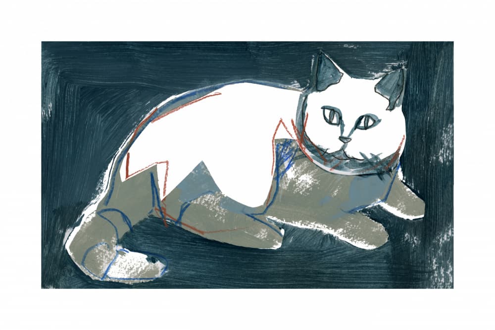 Artistic White Cat by cartissi — canvas wall art