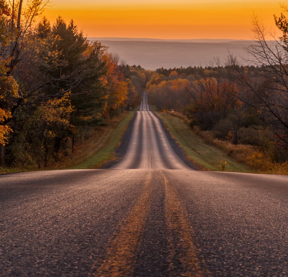Golden Autumn Road by Herbert Rong — canvas wall art