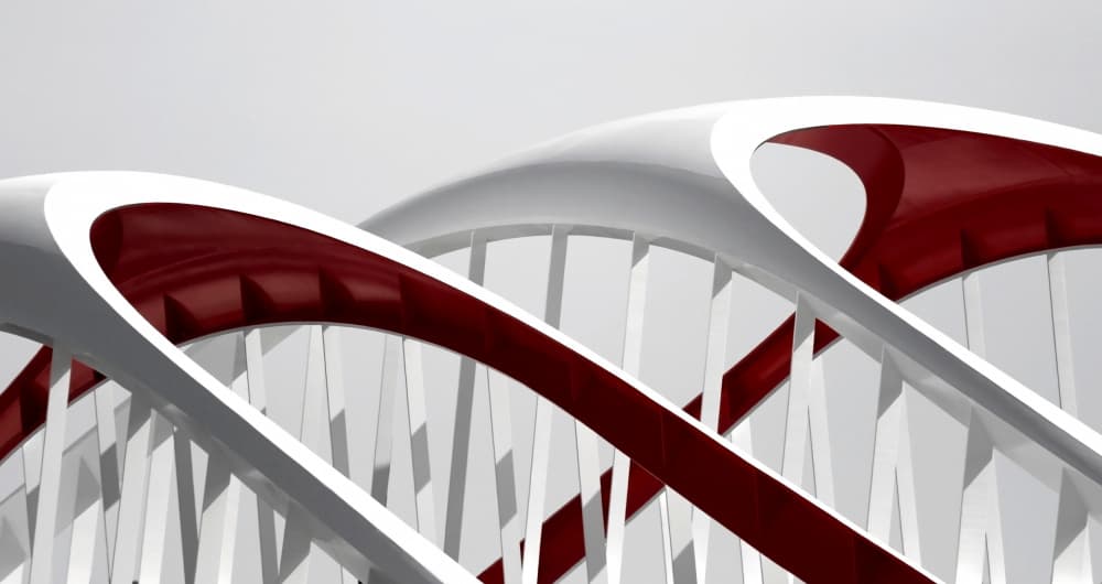 Sleek Red White Curves by Ivan Huang — canvas wall art