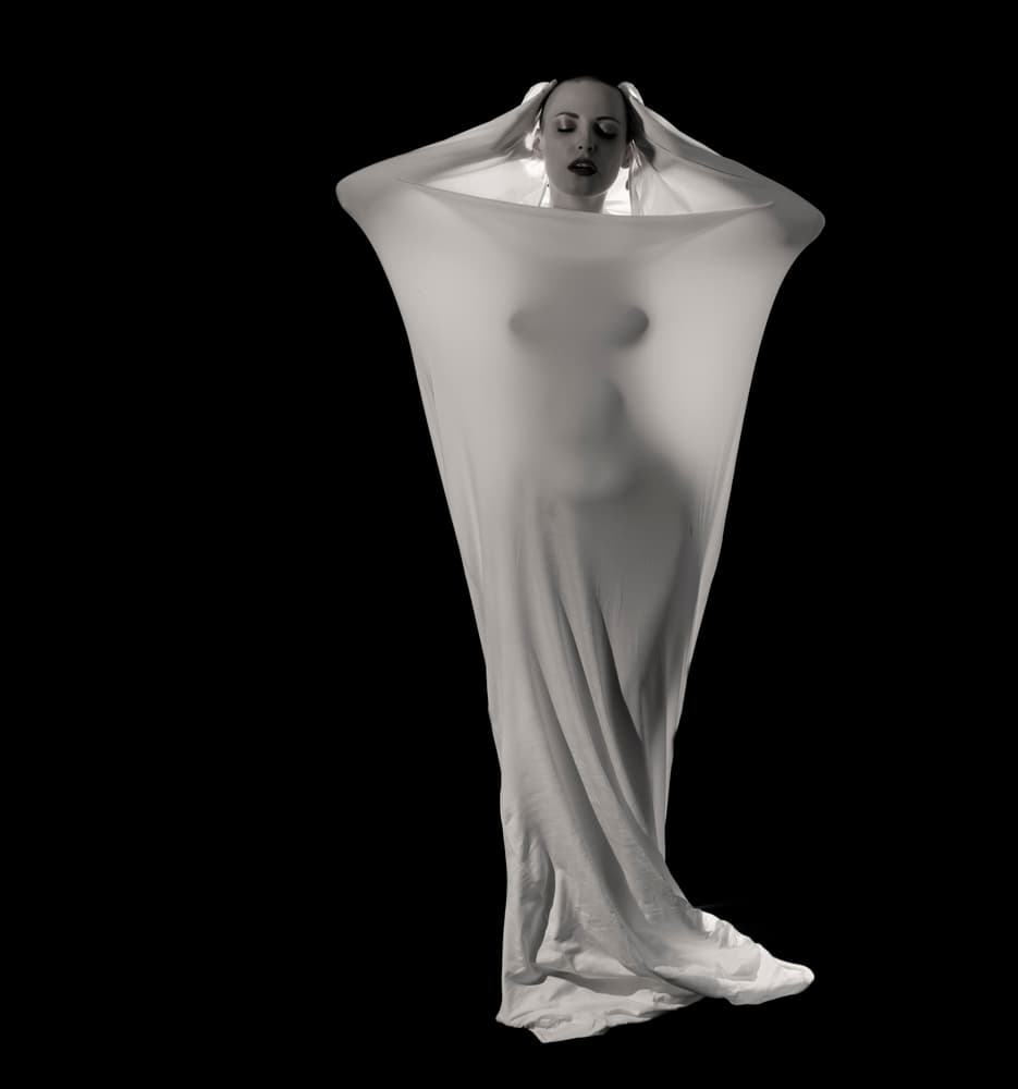 Sensual Sheer Form by Ari Kordonsky — canvas wall art