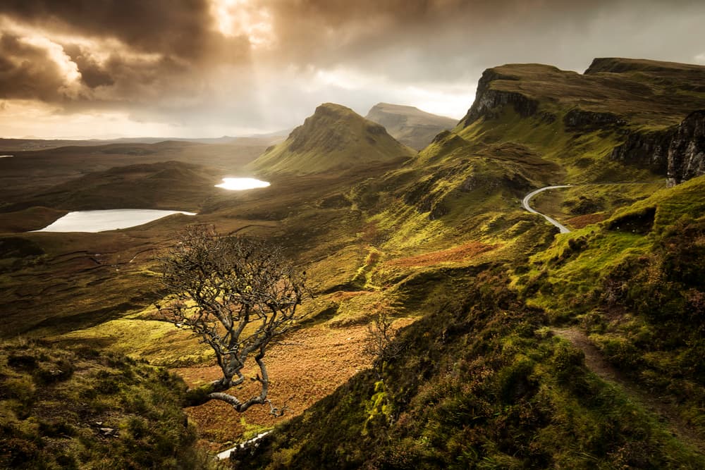 Dramatic Highland Valley by Dan Mirica — canvas wall art