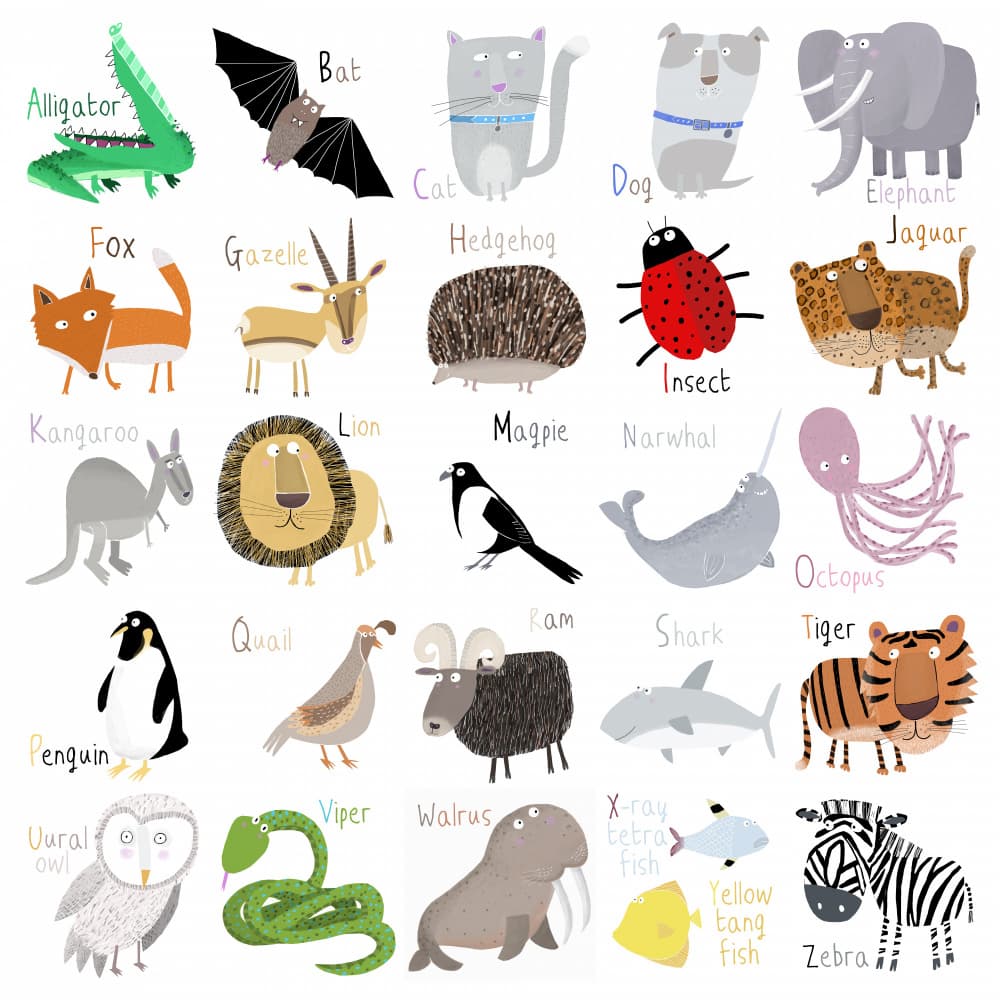 Cute Animal Alphabet by Carla Daly — canvas wall art