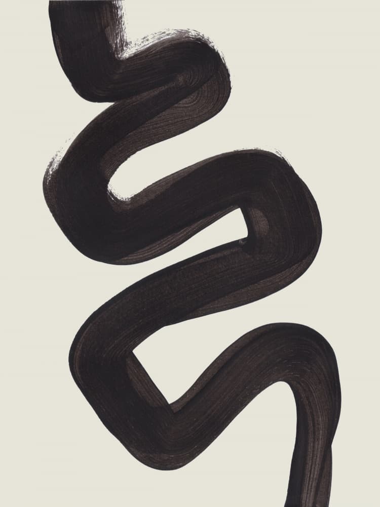 Fluid Black Abstraction by Ejaaz Haniff — canvas wall art