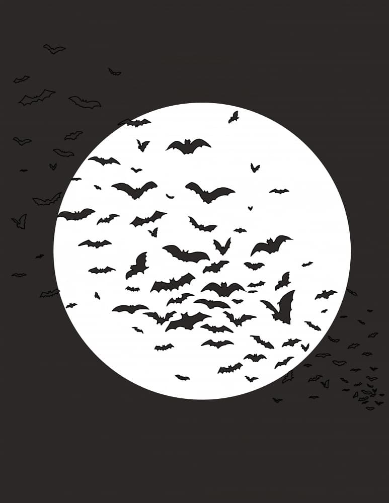 Moonlit Bat Flight by Nicholas — canvas wall art