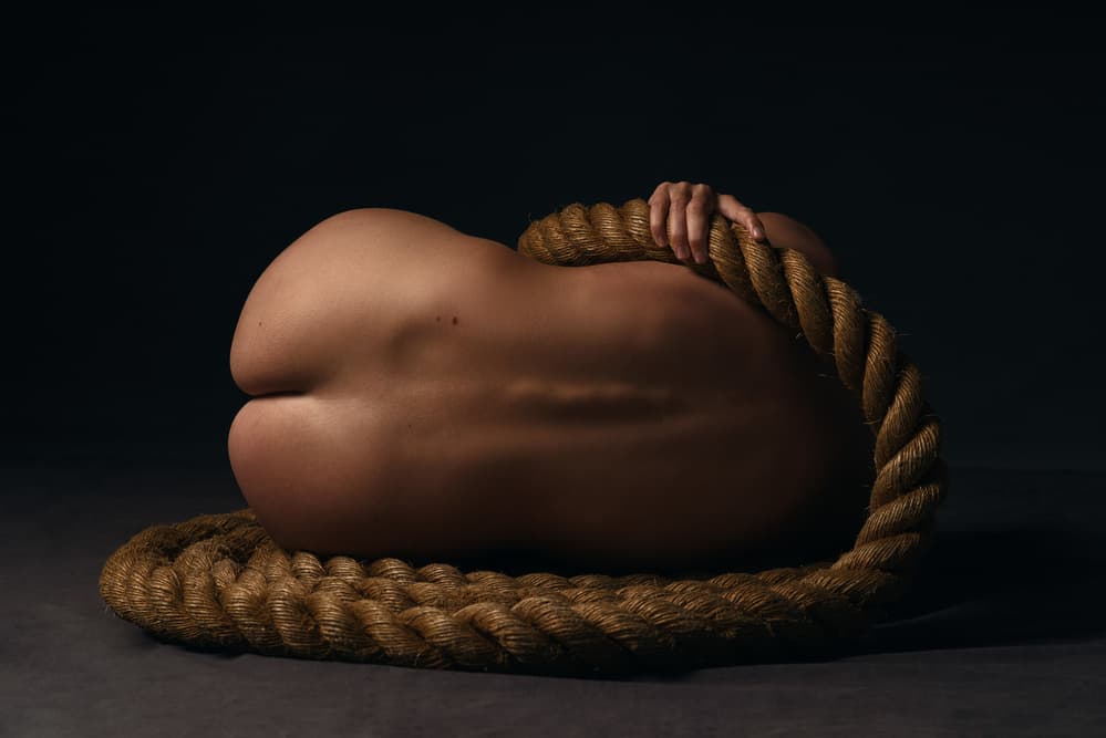 Elegant Form with Rope by Ray Fritz — canvas wall art