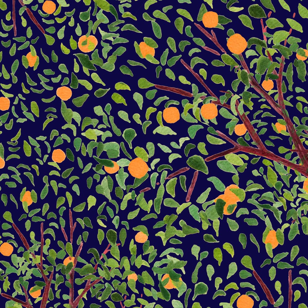 Lush Orange Grove Blue