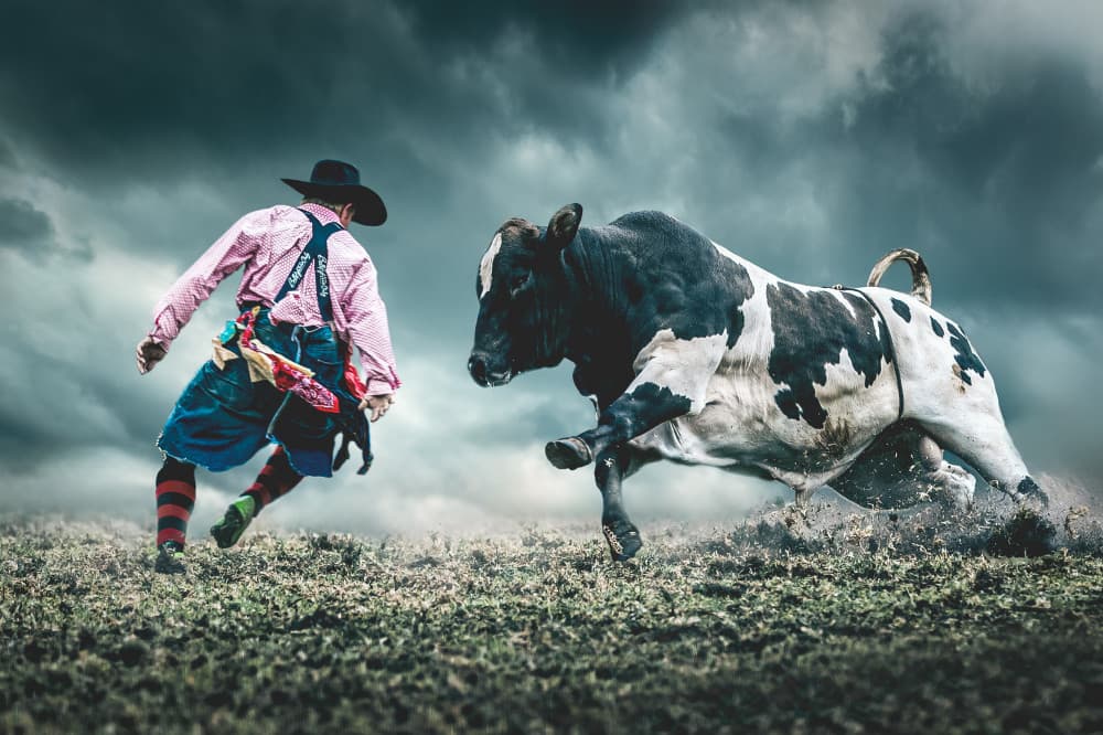 Rodeo Clown Bull Run by Frank Ma — canvas wall art