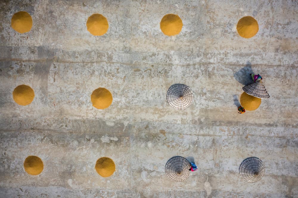 Golden Harvest Drying by Azim Khan Ronnie — canvas wall art