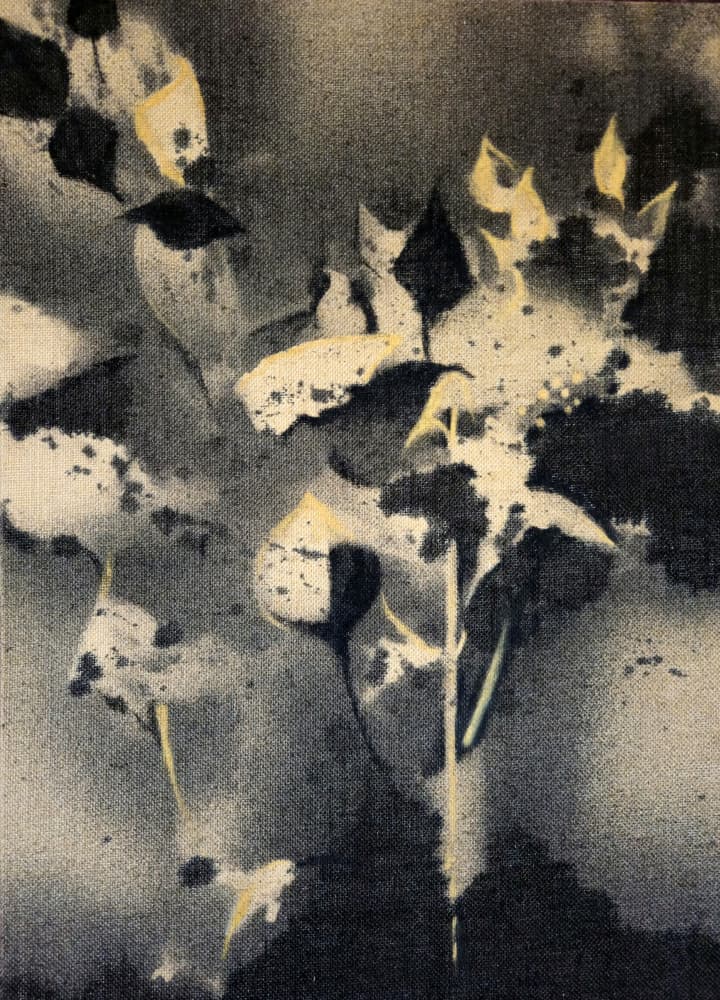 Dark Botanical Forms by Stefano Mazzolini — canvas wall art