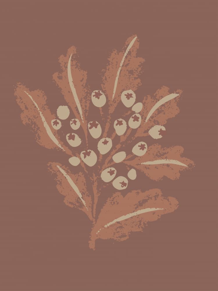 Earthy Botanical Berries by Nikita Jariwala — canvas wall art