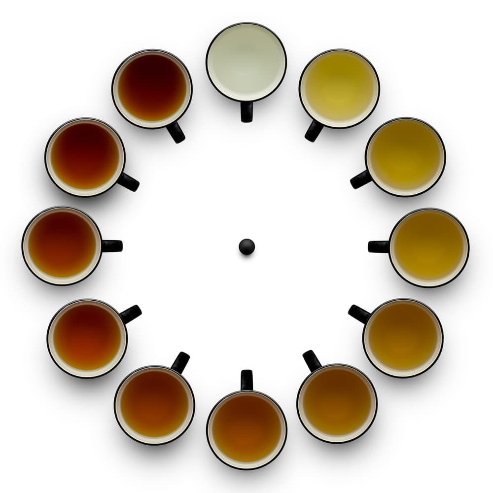 Tea Time Gradient by Wieteke de Kogel — canvas wall art