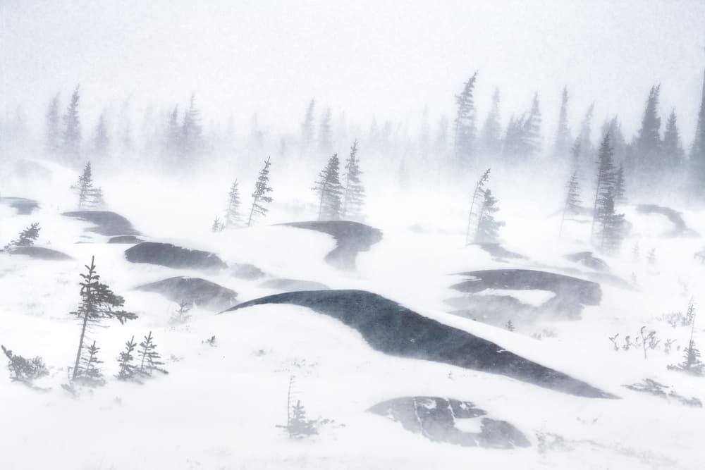 Winter Blizzard Landscape by Roberto Marchegiani — canvas wall art