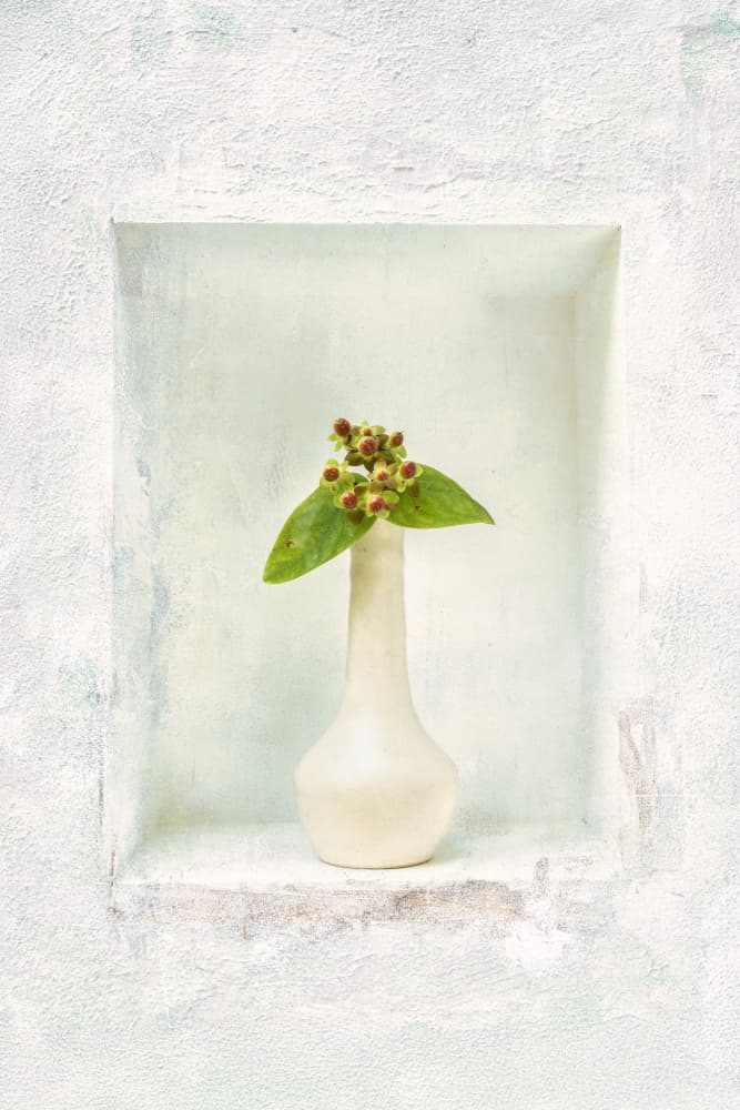 Serene Niche Still Life by Liesbeth van Asselt — canvas wall art