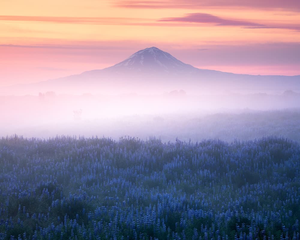 Pink Sky Mountain Mist by Daniel Gastager — canvas wall art