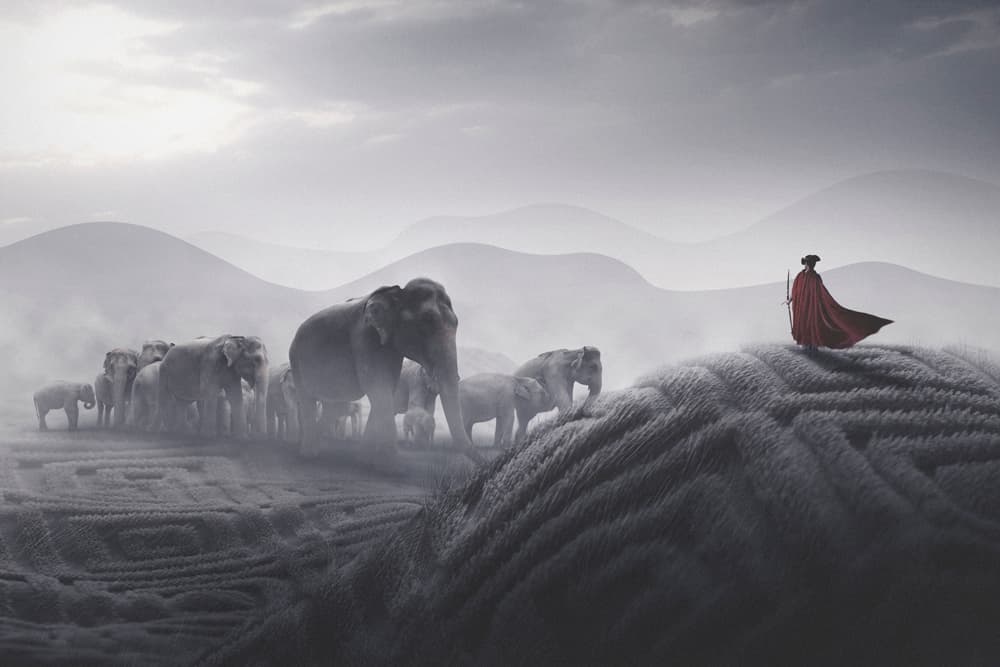 Red Cape Elephant Journey by Hussain Buhligaha — canvas wall art