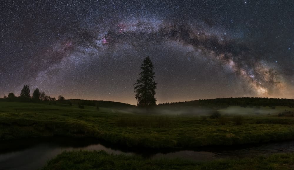 Starry Night Lone Tree by Martin Strouhal QEP — canvas wall art