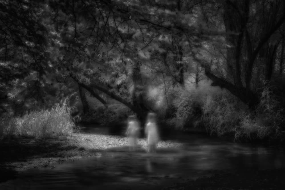 Ethereal Forest Spirits by Christoph Hessel — canvas wall art